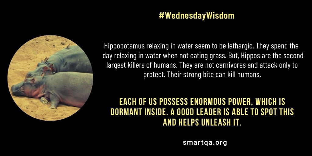 WednesdayWisdom9162020