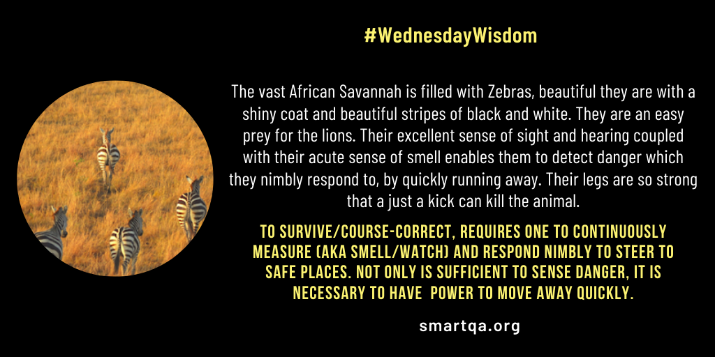 WednesdayWisdom922020