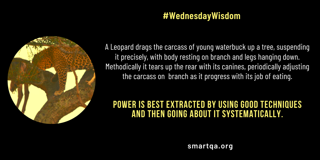 WednesdayWisdom992020