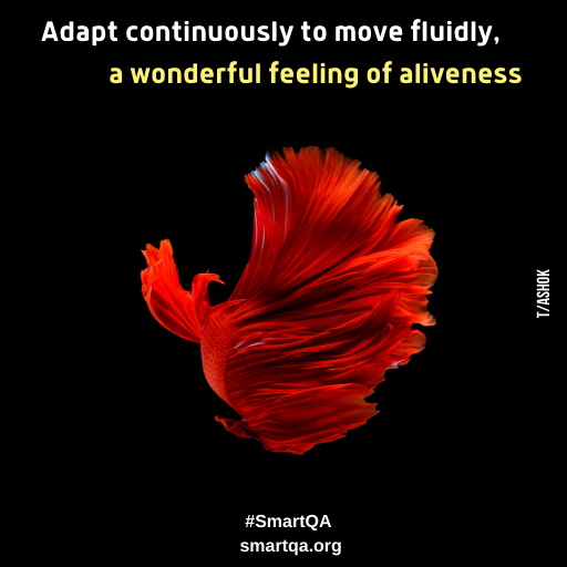 Adapt continuously to move fluidly, a wonderful feeling of aliveness