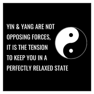 YIN & YANG ARE NOT OPPOSING FORCES, IT IS THE TENSION TO KEEP YOU IN A PERFECTLY RELAXED STATE