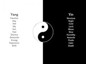 Yin & Yang In Testing - Smartqa